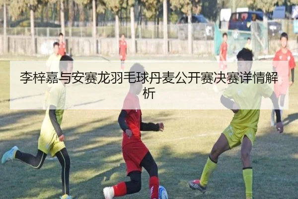 李梓嘉与安赛龙羽毛球丹麦公开赛决赛详情解析